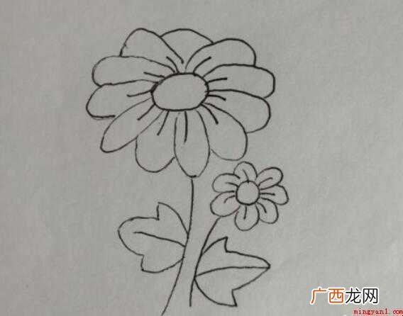 菊花简笔画怎么画【图文】 菊花简笔画怎么画