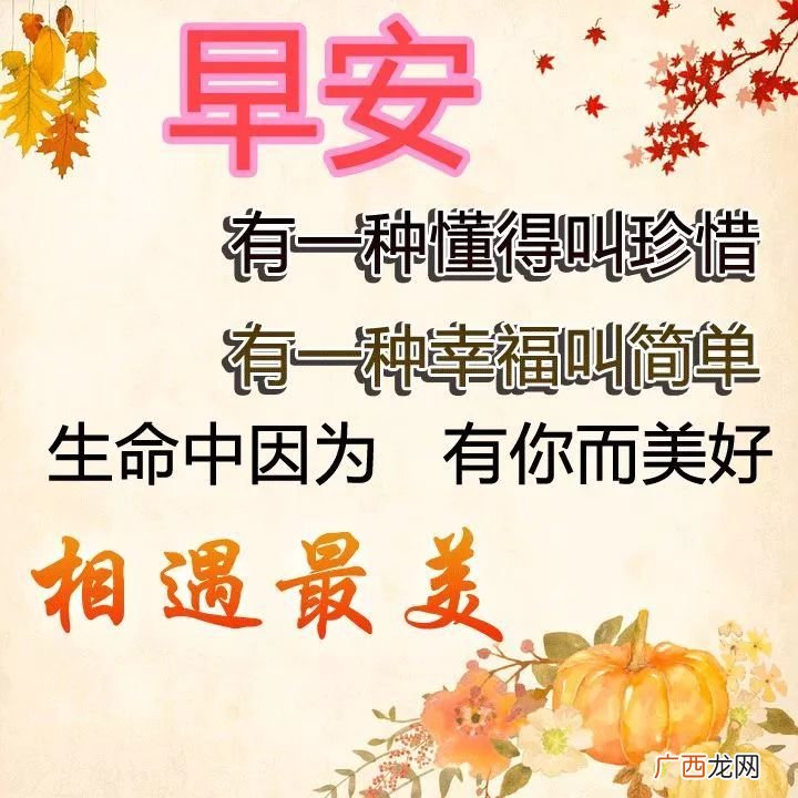星期一祝福语语,周一祝福文案高级感？
