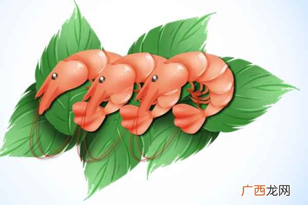 虾皮的功效与作用