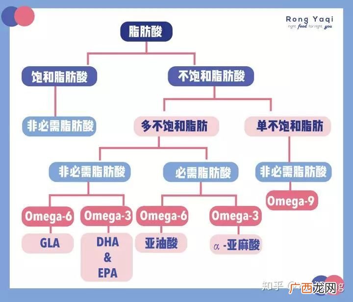 脂肪酸是什么,5 脂肪、脂肪酸与游离脂肪酸？