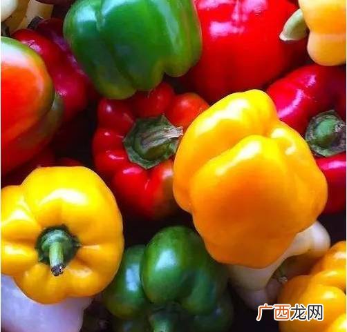 五彩椒辣不辣,五彩椒为什么泡之前不辣泡好后很辣？