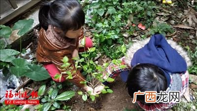 蚕宝宝孵化要多长时间,蚕产卵要多久才能孵化？