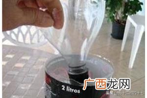 如何废物利用制作花盆,如何利用废弃的塑料瓶DIY花盆，变废为宝？