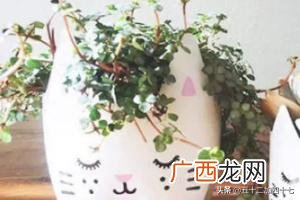 如何废物利用制作花盆,如何利用废弃的塑料瓶DIY花盆，变废为宝？