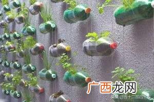 如何废物利用制作花盆,如何利用废弃的塑料瓶DIY花盆，变废为宝？