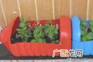 如何废物利用制作花盆,如何利用废弃的塑料瓶DIY花盆，变废为宝？