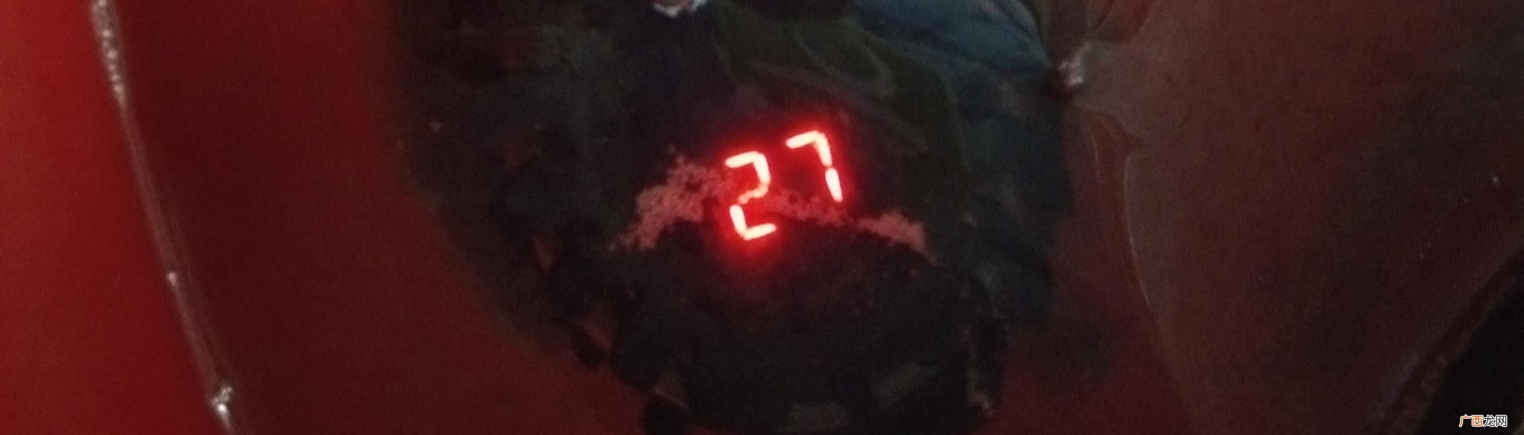 什么小型宠物的寿命最长,国产龟什么龟活得最久？