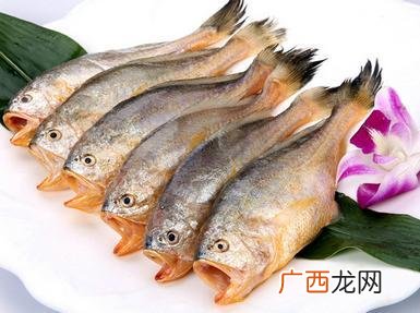 梅童鱼和小黄鱼的区别,黄花鱼和黄鱼该怎么区分？