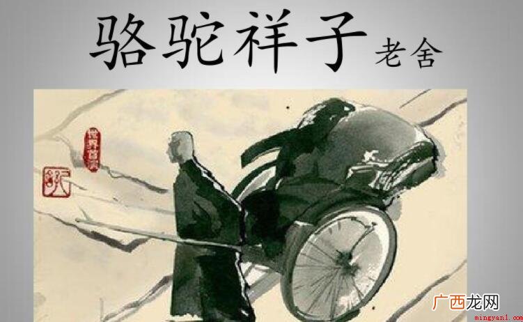 《骆驼祥子》第四章精致词语有哪些 《骆驼祥子》第四章精美词语有哪些