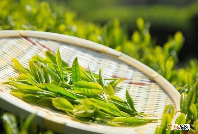 茶叶的功能有什么_茶叶百科 茶叶的作用有哪些