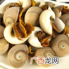 黄螺的做法,瘦肉炒黄螺的做法？