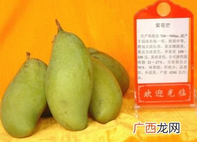 芒果品种,红金龙芒果和贵妃芒果有什么区别？