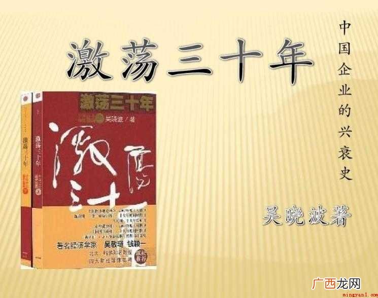 《激荡三十年》读书心得怎么写