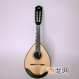 曼陀铃是什么乐器,八根弦的乐器？