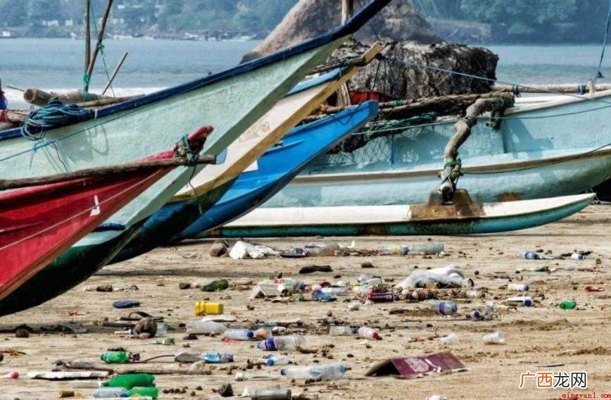 印度洋海啸地震级数是多少