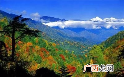 四川有哪些国家公园,龙苍沟国家级森林公园怎么样？