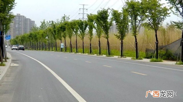 泰兴是几线城市,江苏徐州算几线城市？