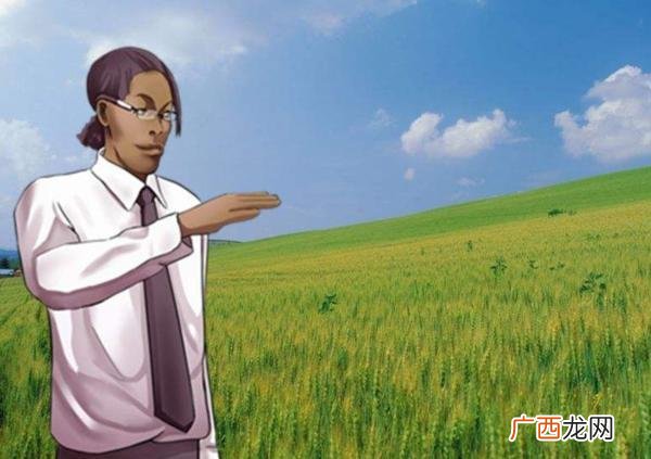 金克拉是什么意思,金克拉什么意思？