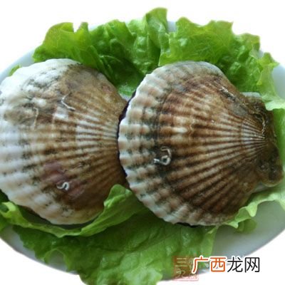 扇贝柱的营养及功效禁忌,瑶柱干贝的优缺点？