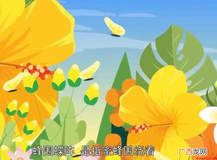 蜂围蝶阵的意思是什么
