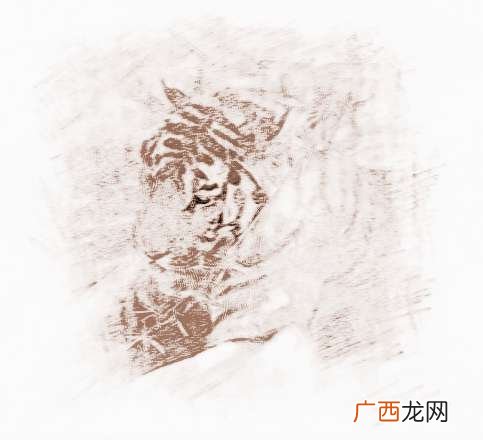 1974年属什么,74是什么虎？