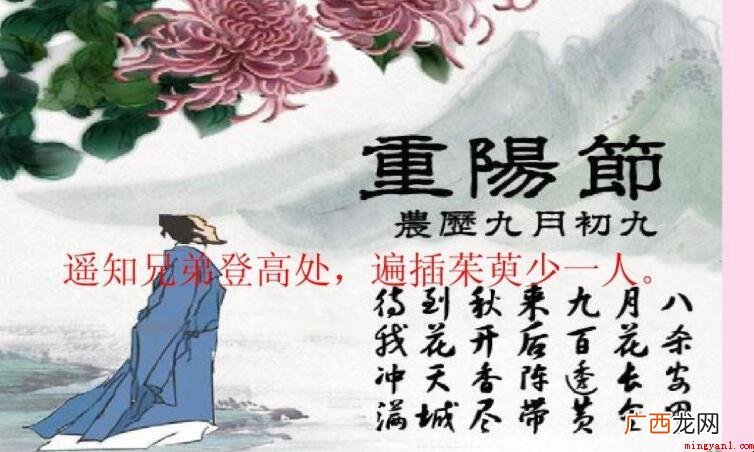 遍插茱萸少一人的意思是什么