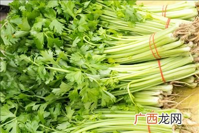 芹菜什么时候播种芹菜种植时间,河北8月下旬种芹菜晚吗？