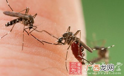 蚊子怕什么气味和东西,蚊子最怕的五种味道？
