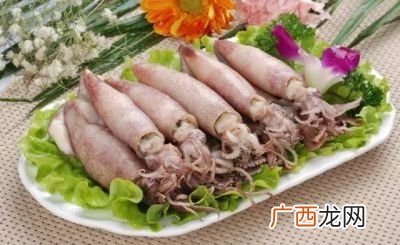 笔管鱼就是海兔吗,笔管鱼，乌贼，鱿鱼的区别是什么？