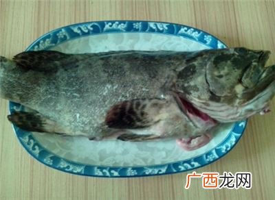 老虎斑鱼的做法,虎斑鱼正宗做法？
