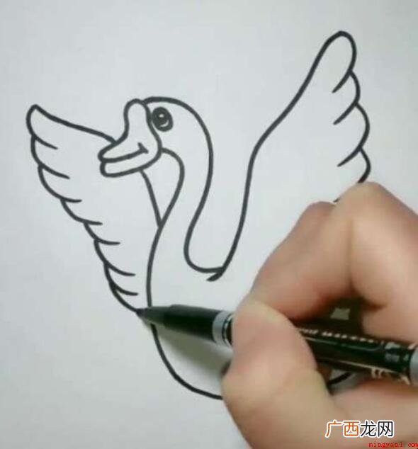 大白鹅简笔画怎么画 画出大鹅的眼睛 大白鹅简笔画怎么画