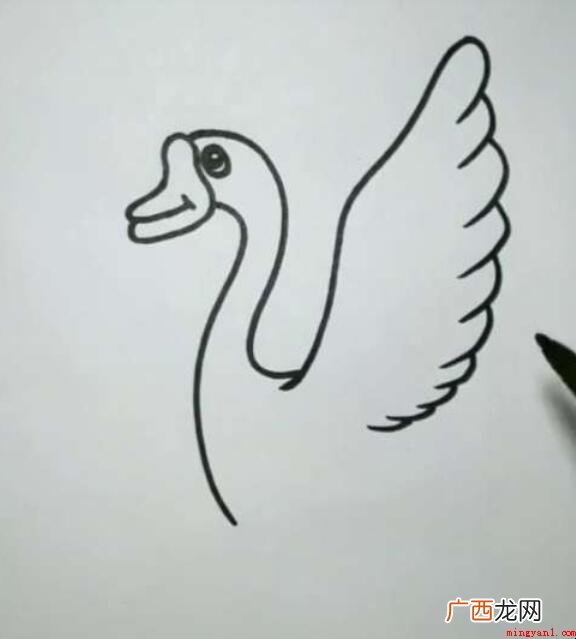 大白鹅简笔画怎么画 画出大鹅的眼睛 大白鹅简笔画怎么画