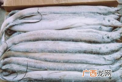 冰冻带鱼为什么会变黄,冷冻鱼变黄怎么回事？