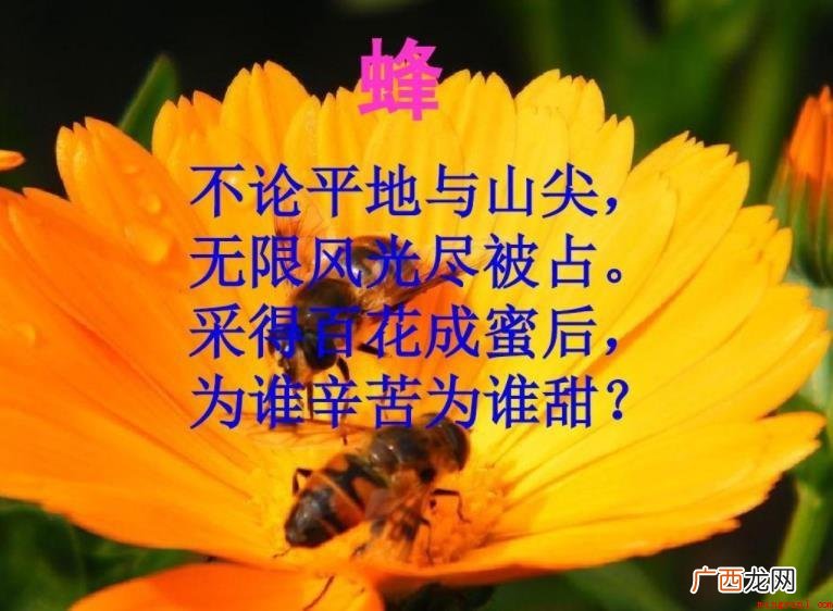 无限风光尽被占上一句是什么
