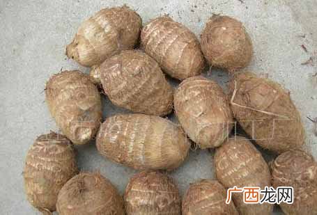 芋头种类,十大芋头排名？