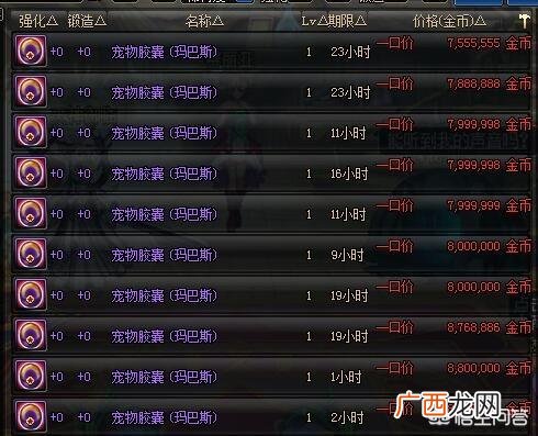 dnf白兔子是什么,dnf奶妈带什么宠物好？