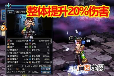 dnf白兔子是什么,dnf奶妈带什么宠物好？