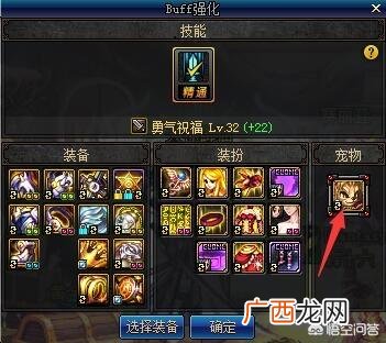 dnf白兔子是什么,dnf奶妈带什么宠物好？