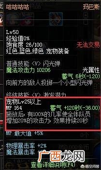 dnf白兔子是什么,dnf奶妈带什么宠物好？