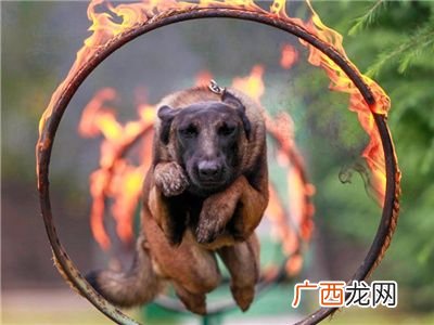 什么是聚火圈,农村柴火灶面贴瓷砖易烧坏怎么办？