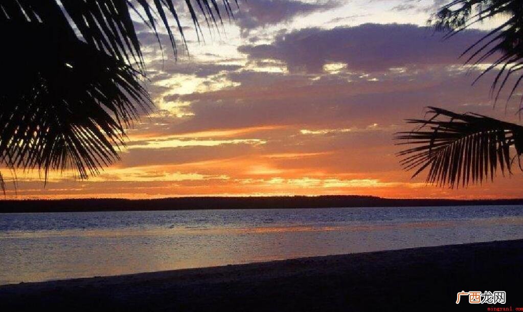 海滨仲夏夜表达了作者什么思想感情 《海滨仲夏夜》表达了作者什么思想感情