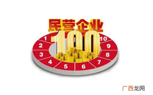 民营企业是什么意思,个体工商和一般企业是什么性质？