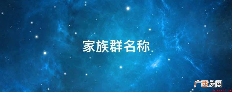 爱情是一家人、幸福之家、全球因爱而醉、武林争霸、一丝温暖、我 家族群名称