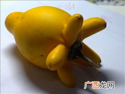 黄色的水果有哪些东西,黄皮水果排行榜前十名?