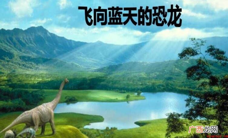 《飞向蓝天的恐龙》的读后感范文 《飞向蓝天的恐龙》的读后感怎么写