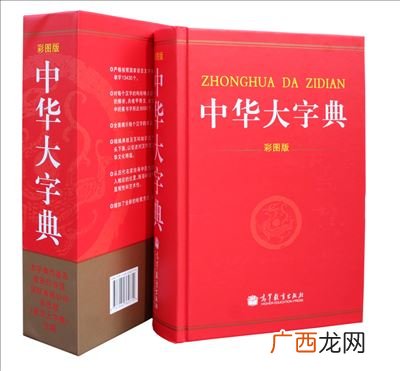 中国第一部词典是什么,新中国成立后颁布的第一部词典是什么？