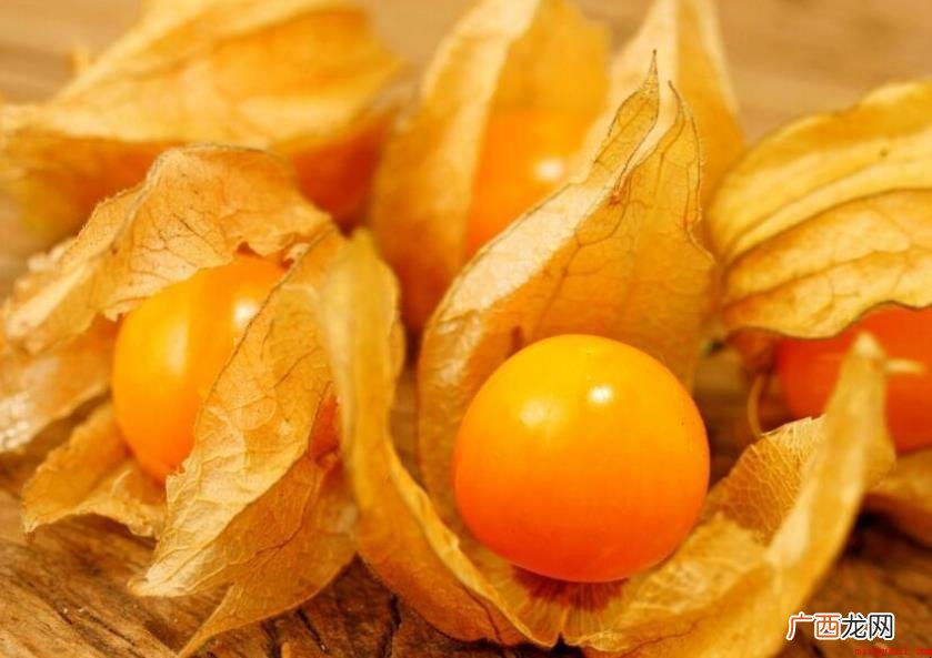 菇娘形状特点有什么_健康频道 菇娘形态特征有哪些