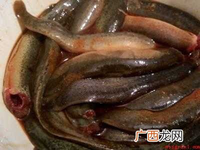 泥鳅怎么吃