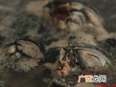黑豆怎么做好吃