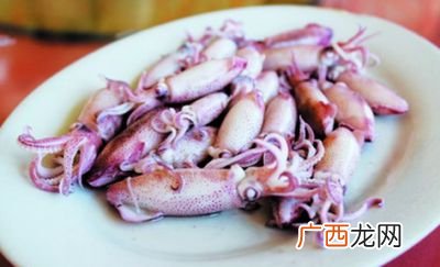 小管和鱿鱼有什么区别,什么是小管？